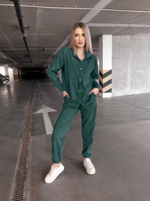 Мікровельветовий костюм